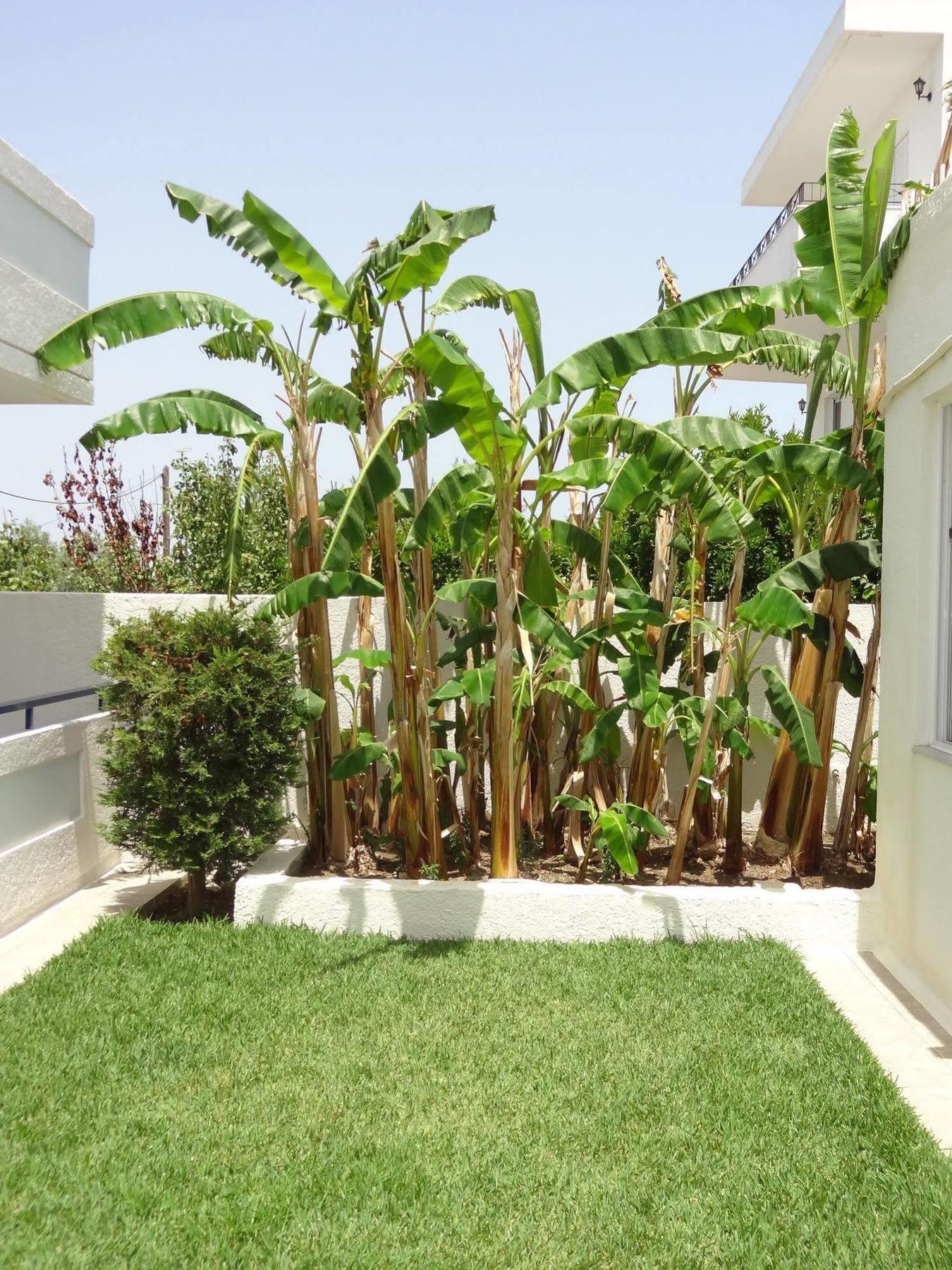 Michalis Studios & Apartments Kos Town Exterior photo
